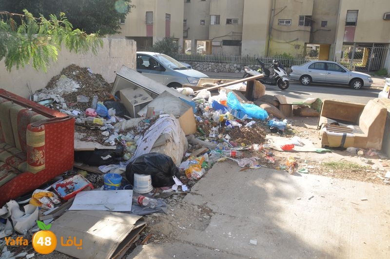 rawda narjes s111 (14).JPG